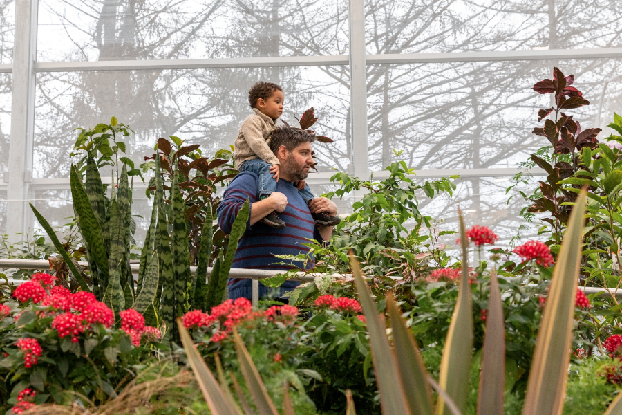 Dans le Grand Vivarium, où l'on retrouve notamment des papillons en liberté - ©Espace pour la vie/Mélanie Dusseault