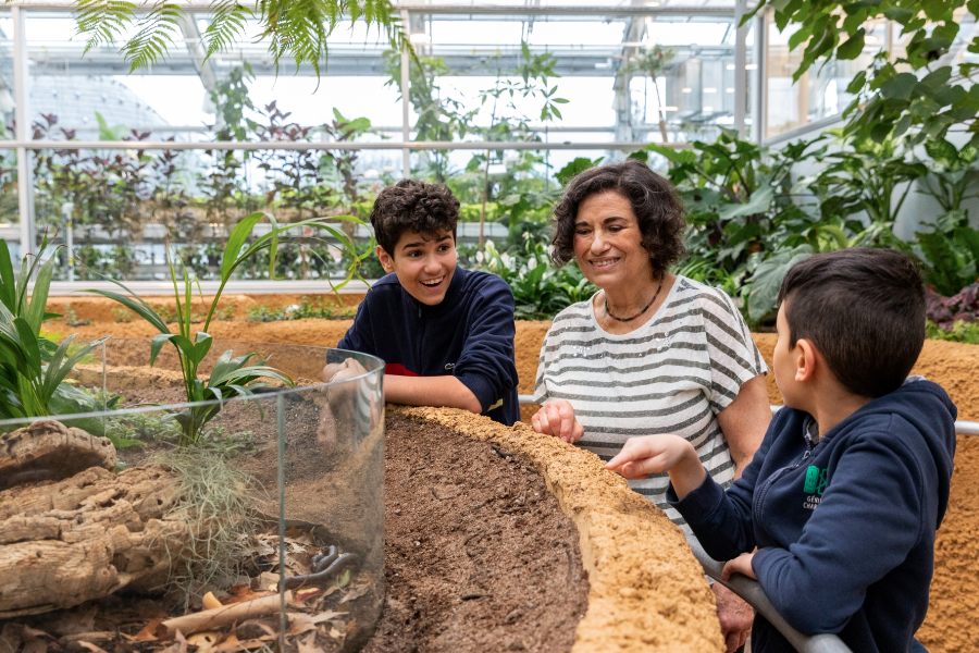 Dans le Grand Vivarium, devant des millipèdes - ©Espace pour la vie/Mélanie Dusseault