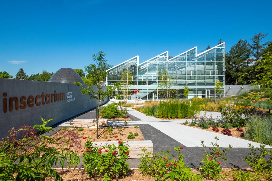 Vue extérieure de l'Insectarium, et son jardin des pollinisateurs - ©Espace pour la vie/Mathieu Rivard