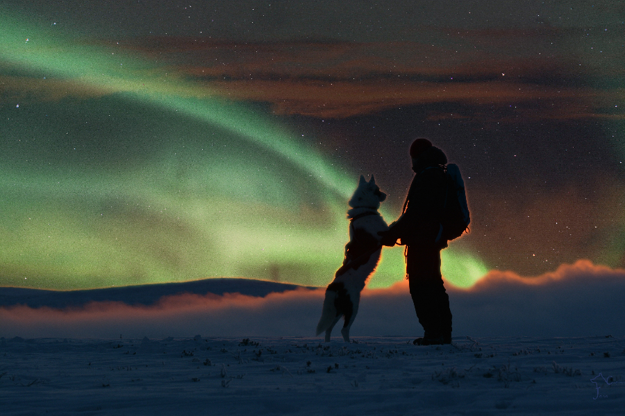 STAR ARCTIC HOTEL & ACTIVITIES