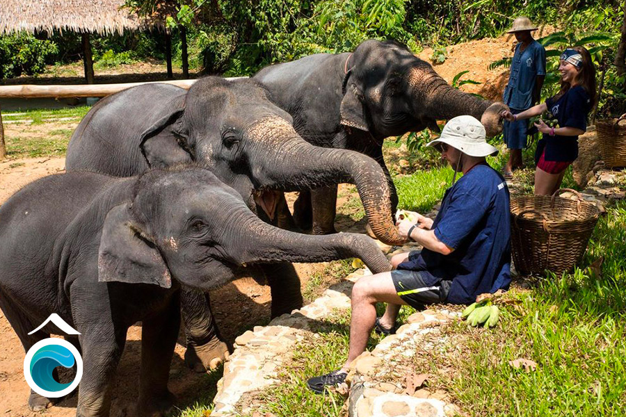 Sanctuaire éléphants en Thaïlande avec Odasie - ©Odasie