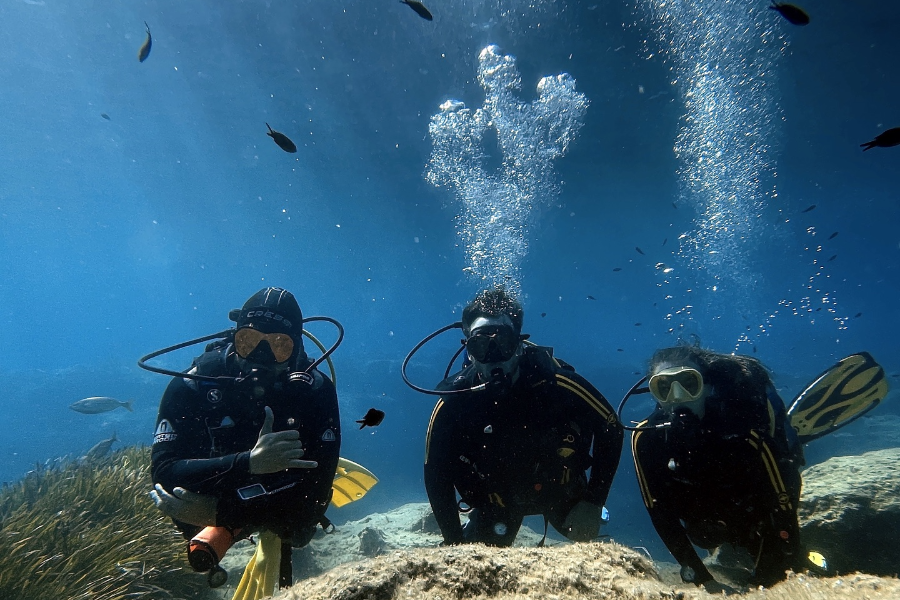 FRENCH TOUCH DIVING