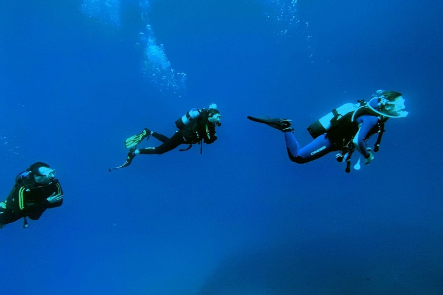 FRENCH TOUCH DIVING