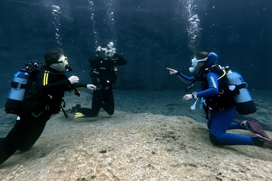 FRENCH TOUCH DIVING
