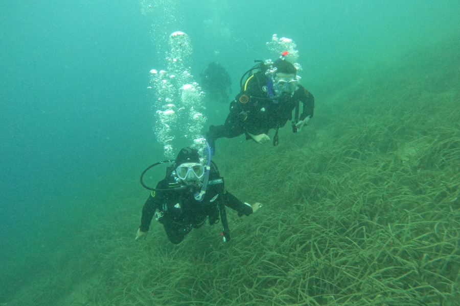 CHIOS SCUBA DIVING ADVENTURE CENTER - ©CHIOS SCUBA DIVING ADVENTURE CENTER