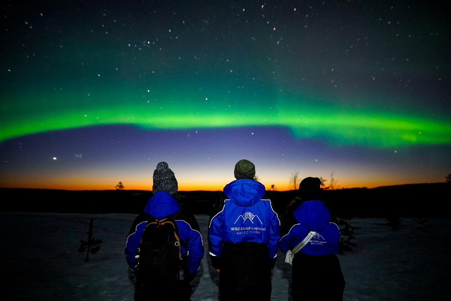 Wild about Lapland - ©Wild about Lapland