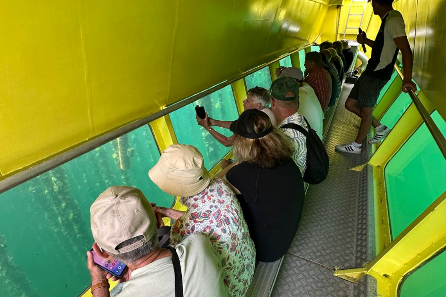 Vision sous-marine du SubSeaExplorer