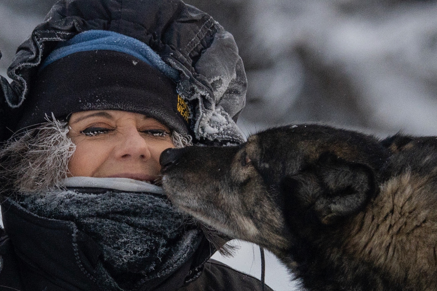 Alaska Dog Mushing (expé en chiens de traineaux en Alaska) - ©iTEAM-USA, LLC