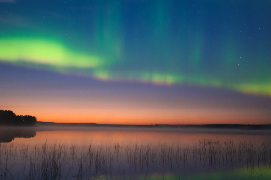 PURE LAPLAND