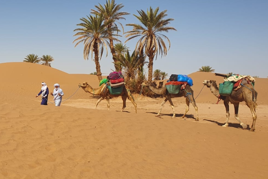 trek dans le Sahara - ©Excursion désert Maroc