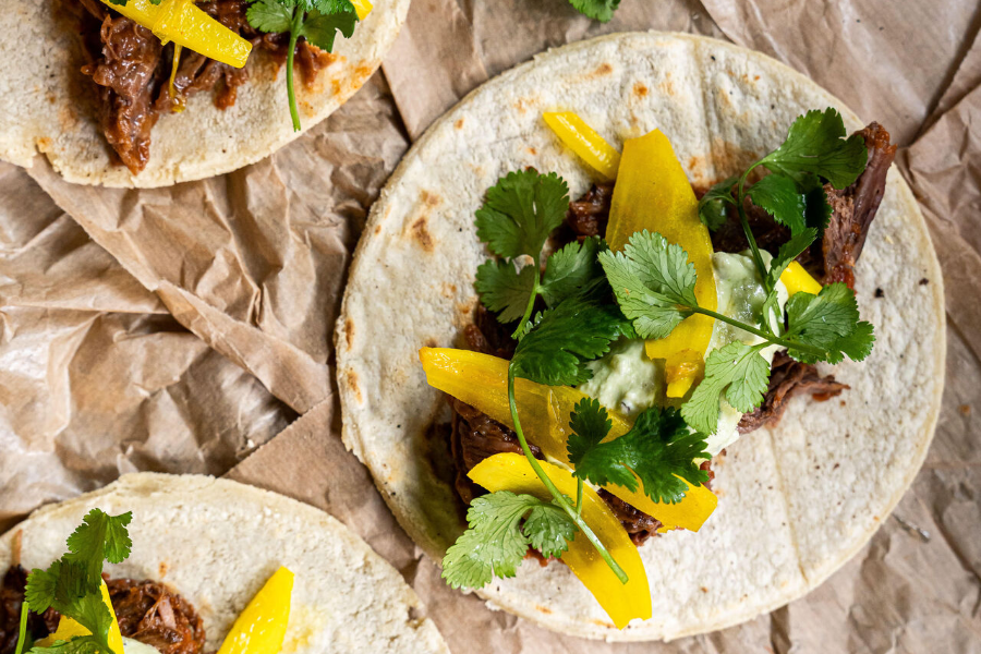 MOLA TAQUERIA