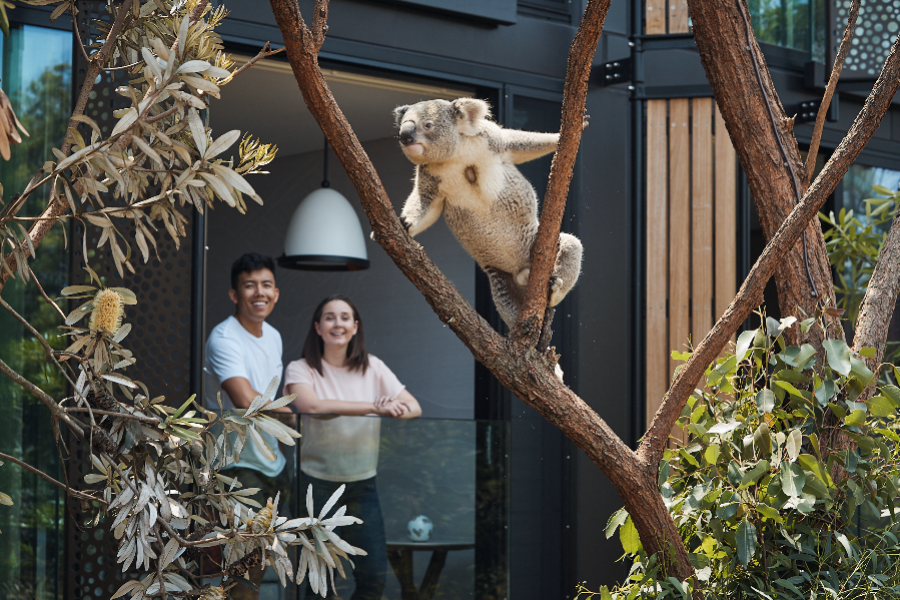 WILDLIFE RETREAT AT TARONGA