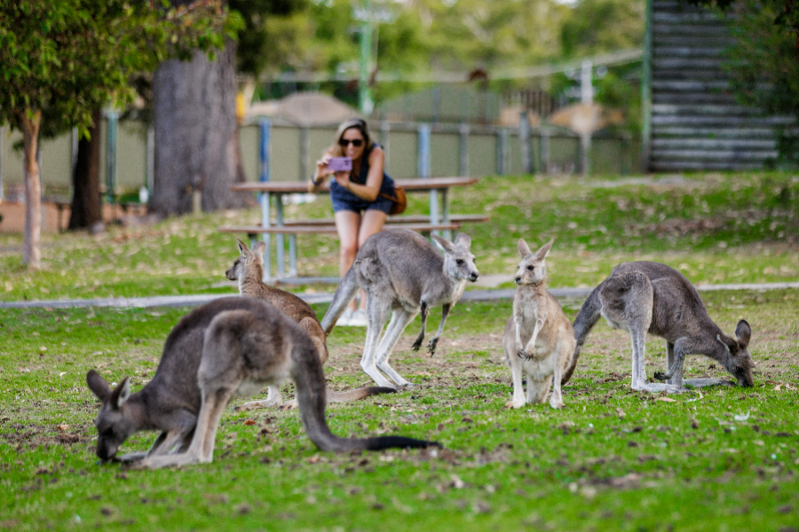 YHA Grampians