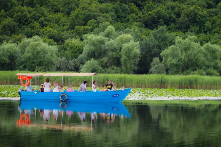 Tour en bateau sur le lac de Skadar - Monte Frog - ©Tour en bateau sur le lac de Skadar - Monte Frog