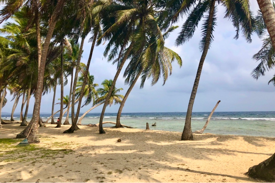 Un véritable paradis sur terre dans les île des San Blas ou communauté indigène indépendante de Kuna Yala. - ©PANAMA AUTHENTIQUE, S.A.