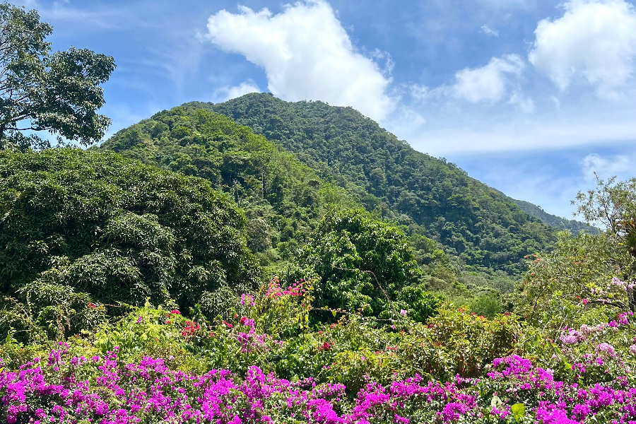 Panama authentique - La Vallée de Anton Cerro Gaital