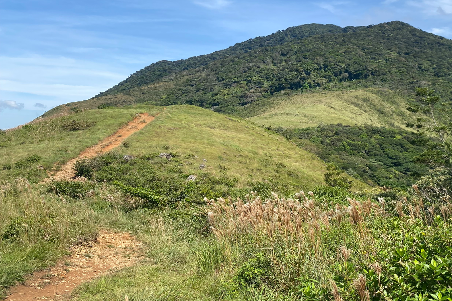 Panama Authentique - Santa Fe, randonnée à Cerro Tute