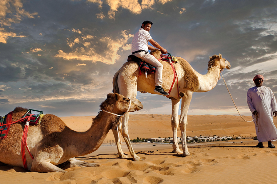 Camel Ride in Desert - ©Arabian Nights Resort & Spa