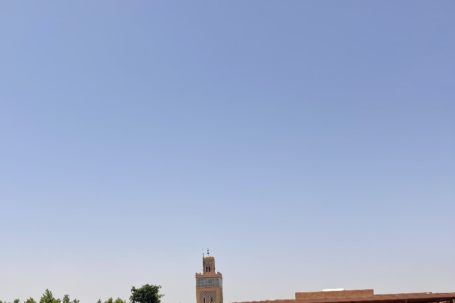 vue du SHAMS, la terrasse jardin du Monde des Arts de la Parure - ©@noomoo