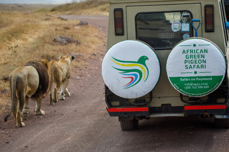 Safari in Ngorongoro crater - ©Raymond