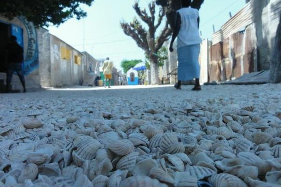 ile aux coquillages - ©Travel Baobab