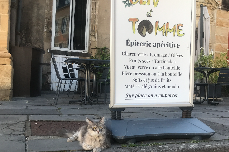 Smokey, le chat-mascotte du Quartier, accueille les clients en terrasse - ©Oliv' & Tomme