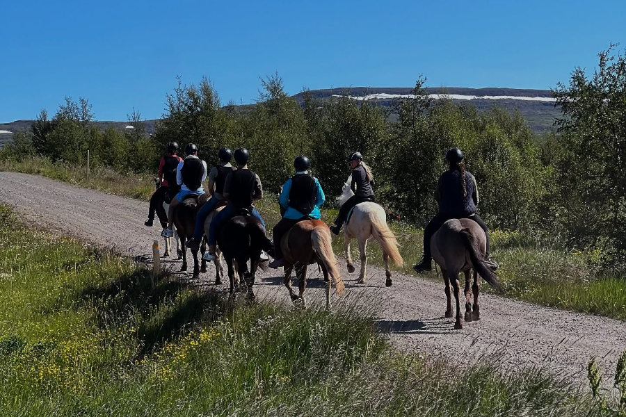 HORSE RANCH FINNSSTAÐIR