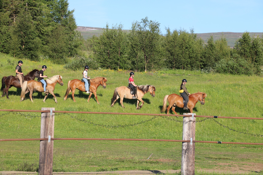 HORSE RANCH FINNSSTAÐIR