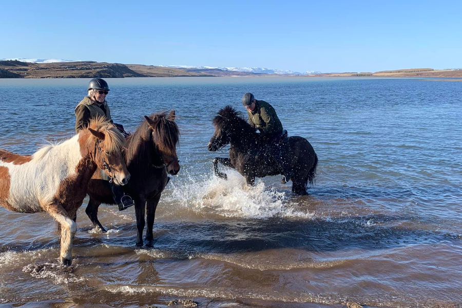 HORSE RANCH FINNSSTAÐIR