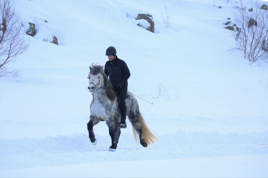 HORSE RANCH FINNSSTAÐIR