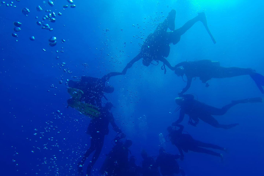 3 TURTLES DIVING CENTER