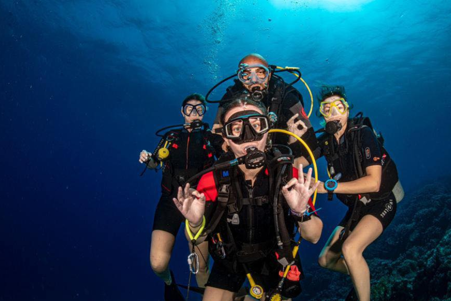 3 TURTLES DIVING CENTER