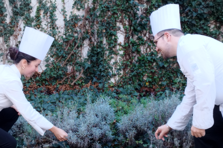 Chef Viviana Pisacane et Antonio Pisacane - ©saphir 22