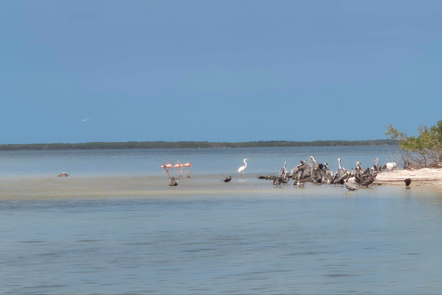 MY HOLBOX TOURS