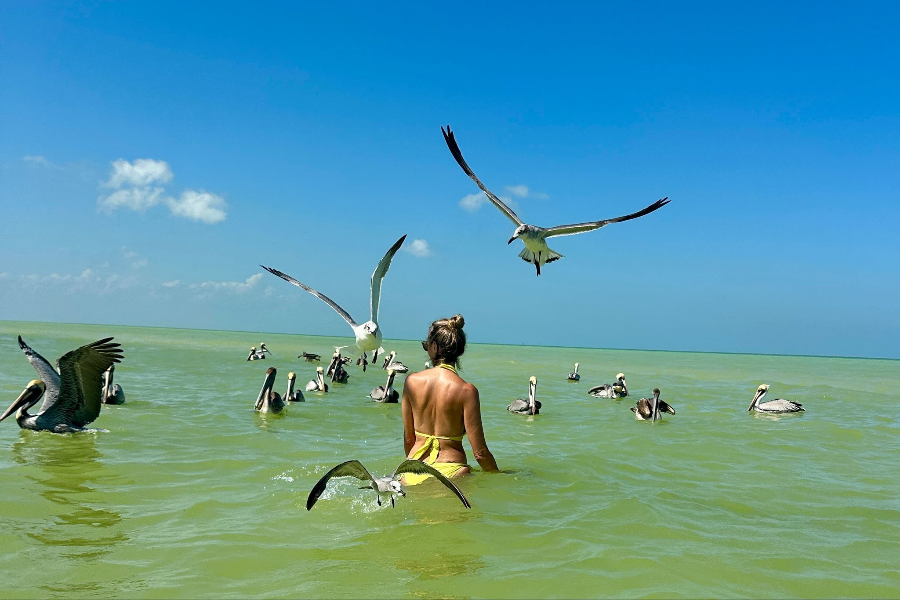 MY HOLBOX TOURS