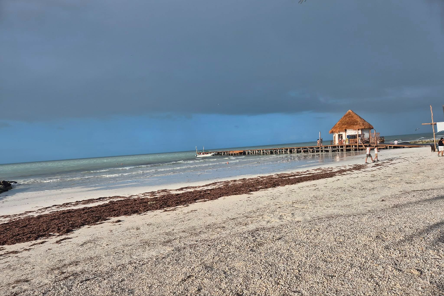 MY HOLBOX TOURS