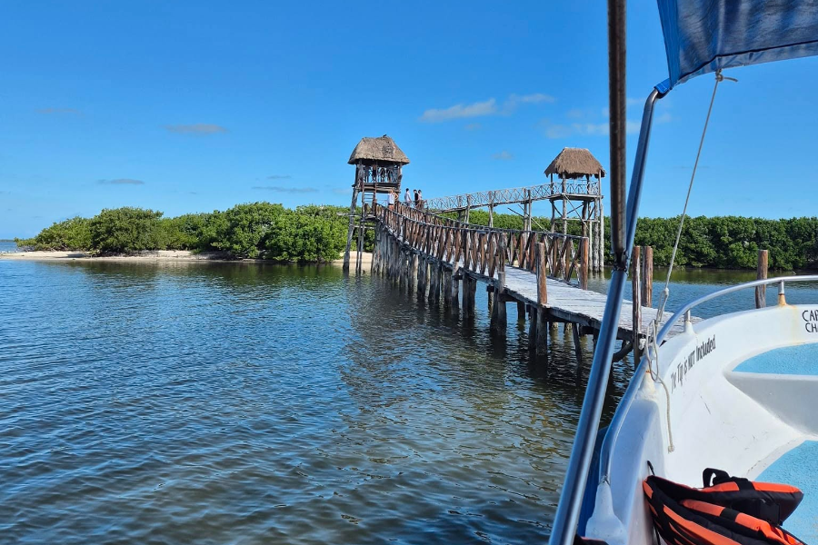 MY HOLBOX TOURS