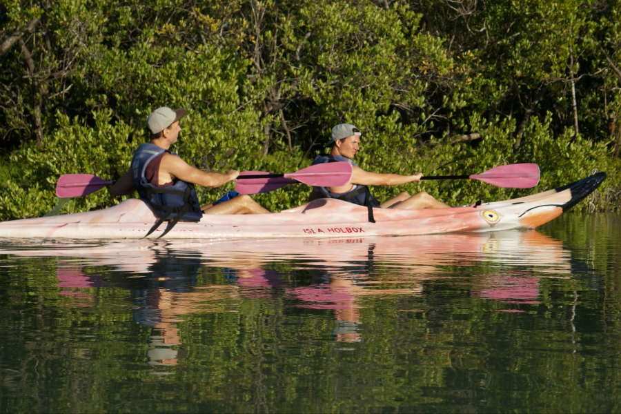 MY HOLBOX TOURS