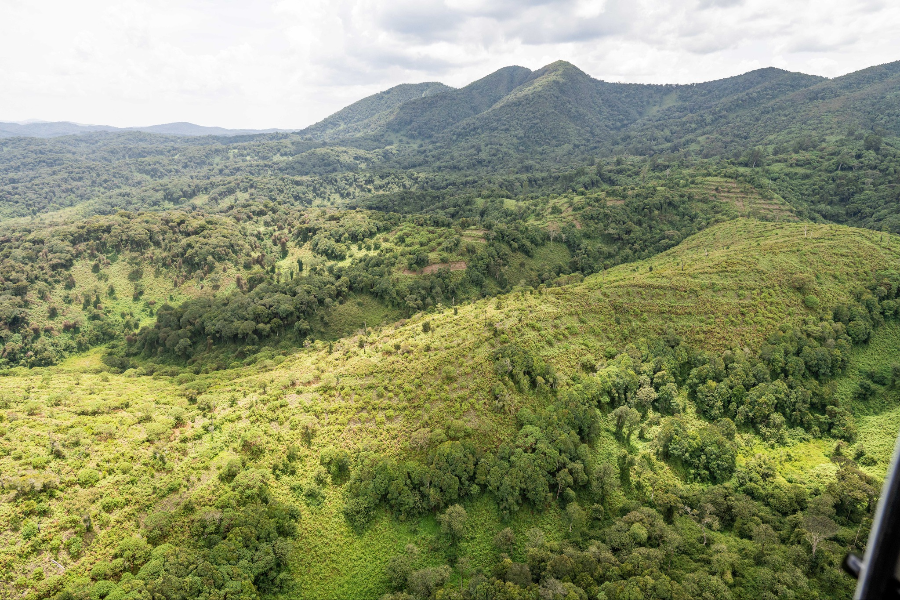NYUNGWE NATIONAL PARK