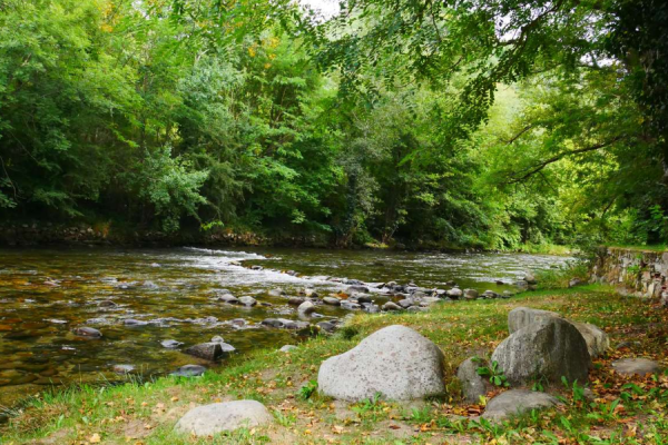 Rvière camping