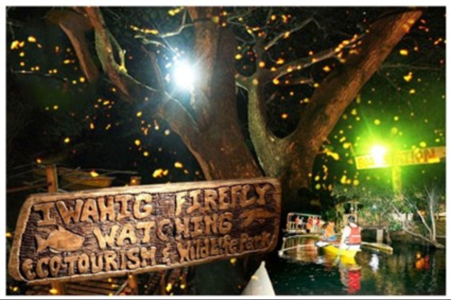 IWAHIG FIREFLY WATCHING