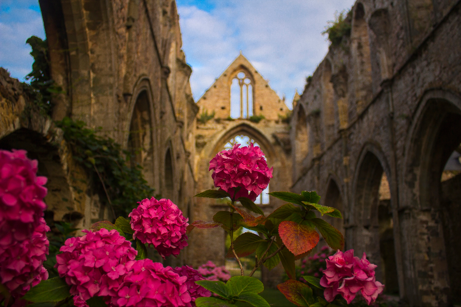  - ©ABBAYE DE BEAUPORT