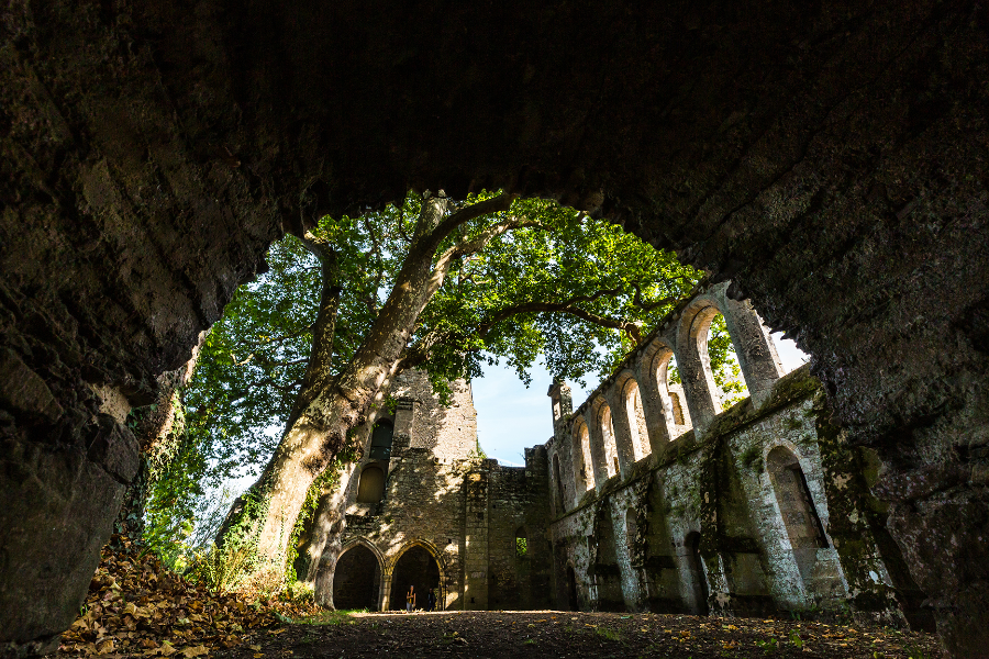 Abbaye de Beauport - ©L'Oeil de Paco