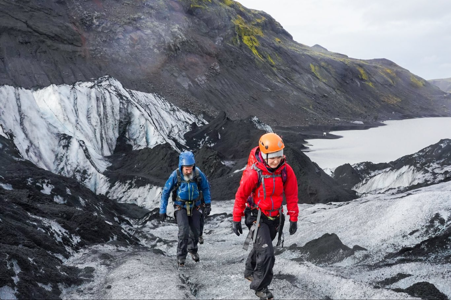 ICELANDIC FRENCHIES