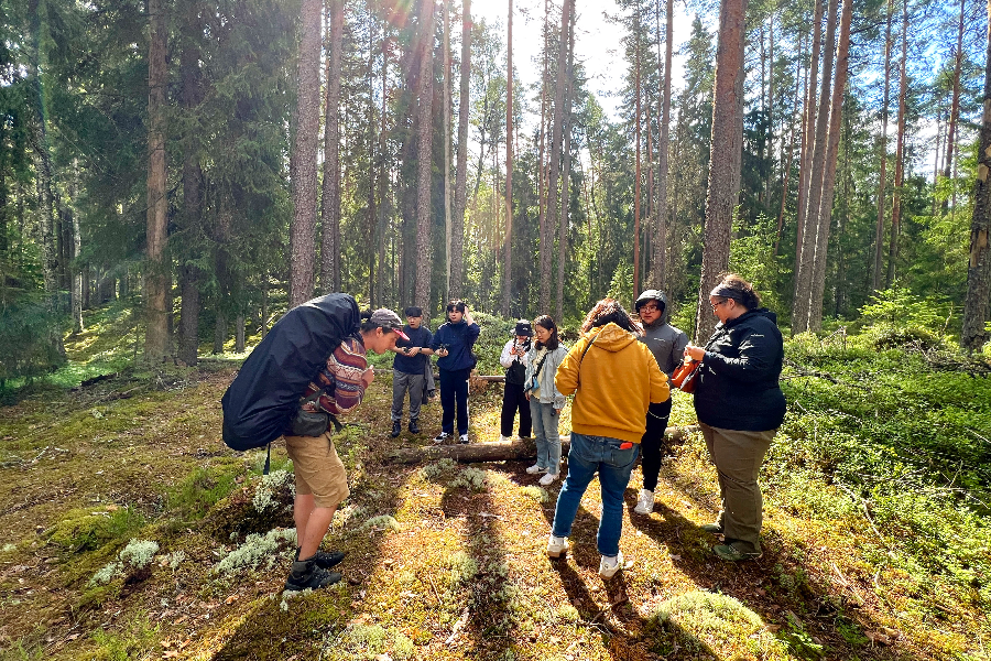 Looking for mushrooms in a Finnish national park - ©Taiga Times
