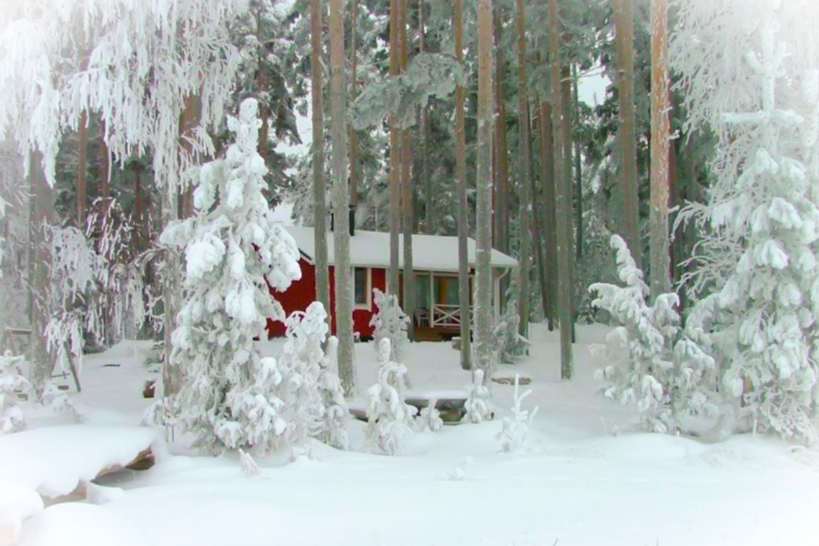 cottage hiver - ©Niemi Kapee
