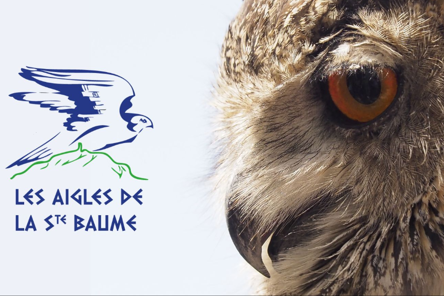Fauconnerie des Aigles de la Sainte-Baume - ©Fauconnerie des Aigles de la Sainte-Baume