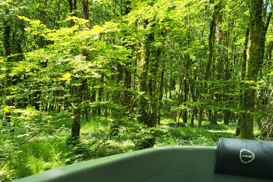 Bain nordique en forêt de Brocéliande - ©Le Domaine Insolite de Brocéliande