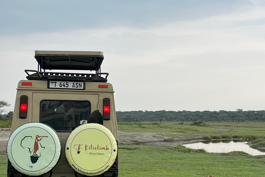 SAFARIS VEHICLE