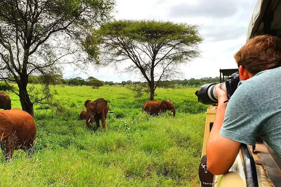 Photography safari